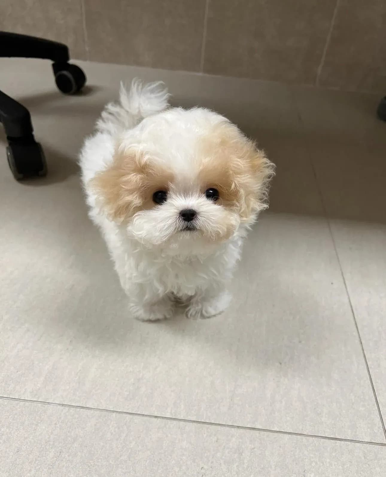 Billy