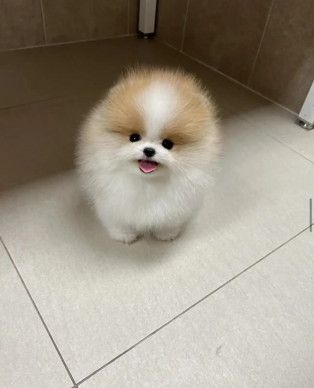 Chloe