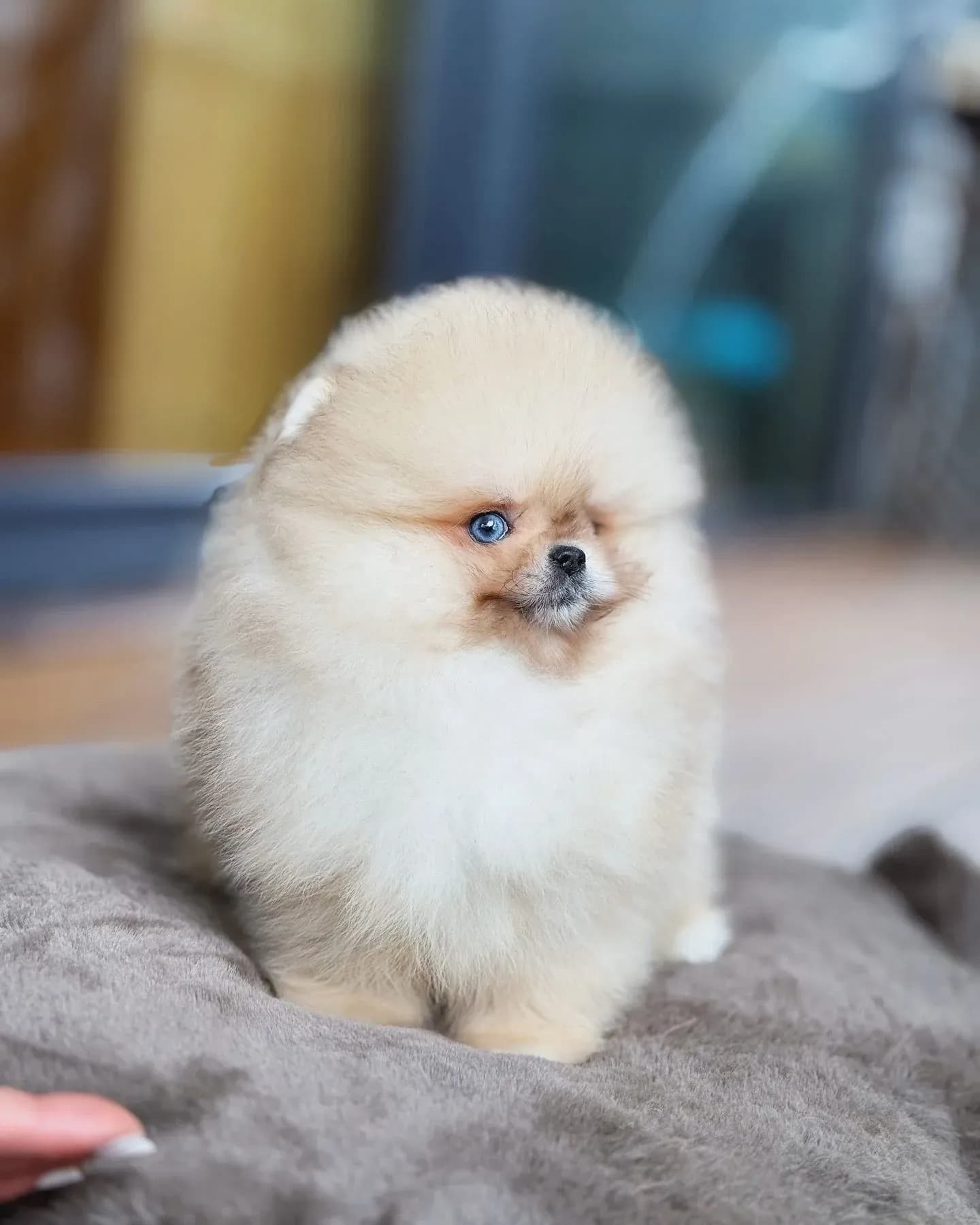 George