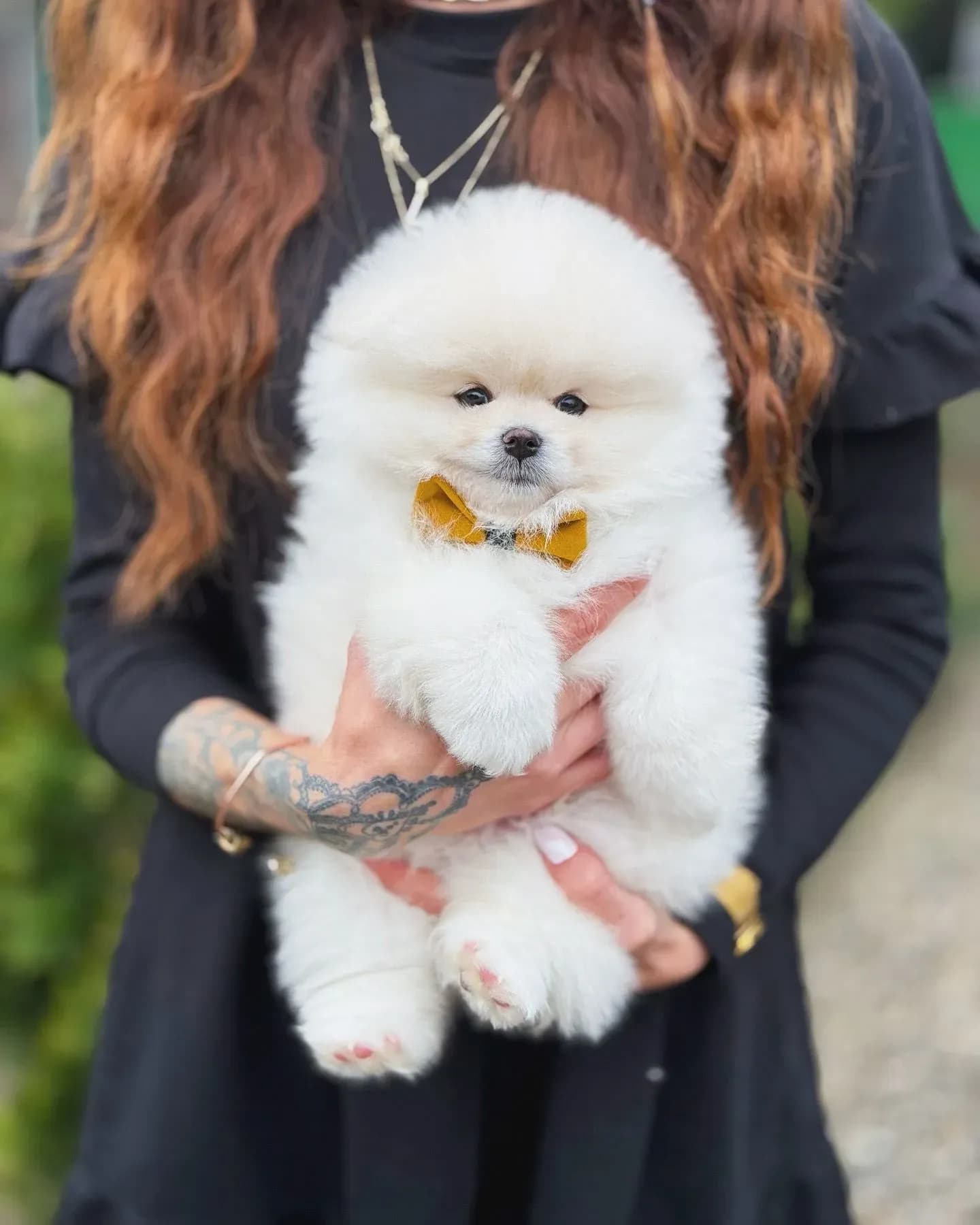 Marley