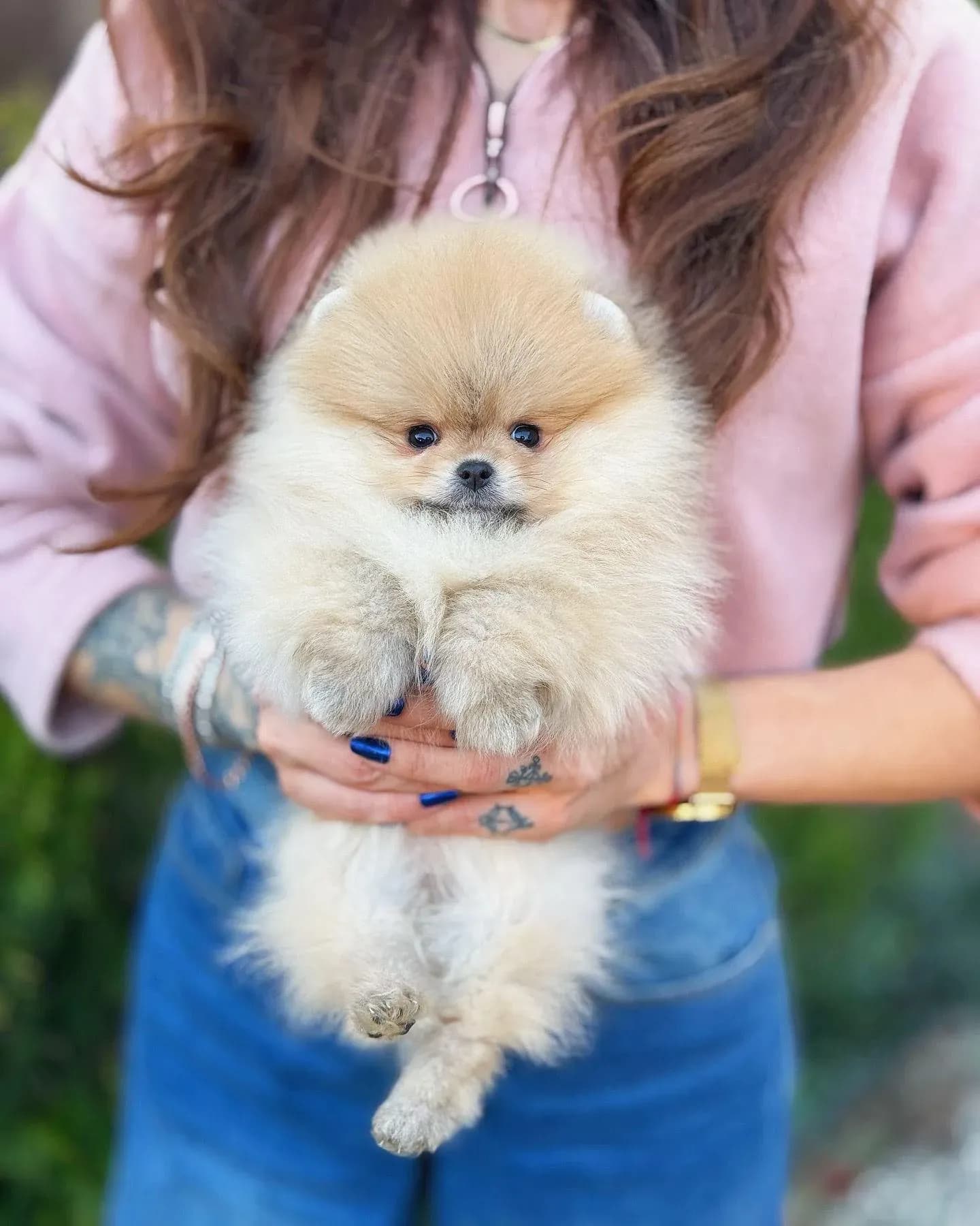 Zoe